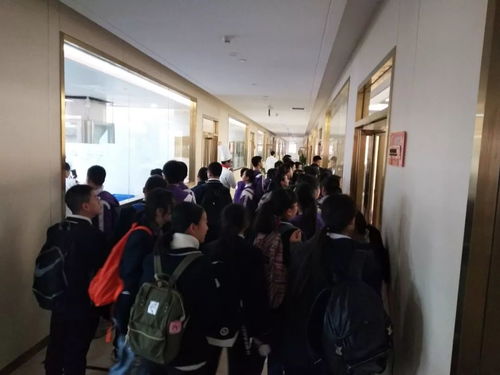 中華小當(dāng)家 魯能巴蜀中學(xué)初2021級社會大課堂的實踐與收獲